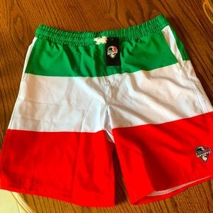 Italian Flag Swim Trunks
